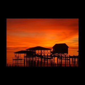 Meet your Posher, Janice